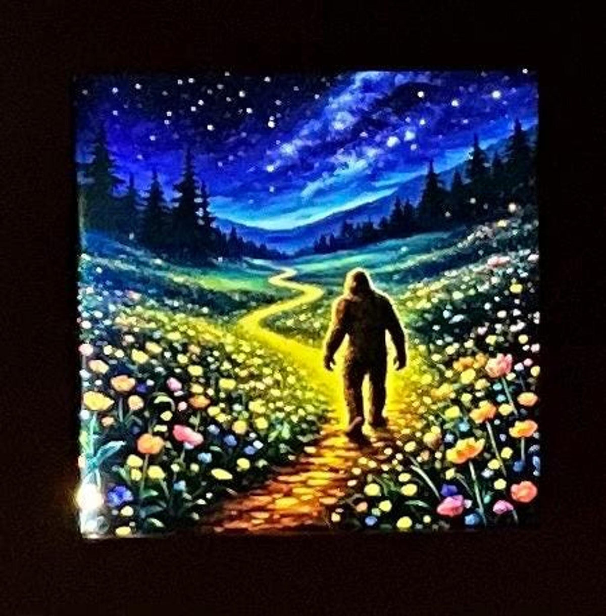 Interchangeable Night Light Panels Only, Colorful Artwork Designs for Custom Nightlight